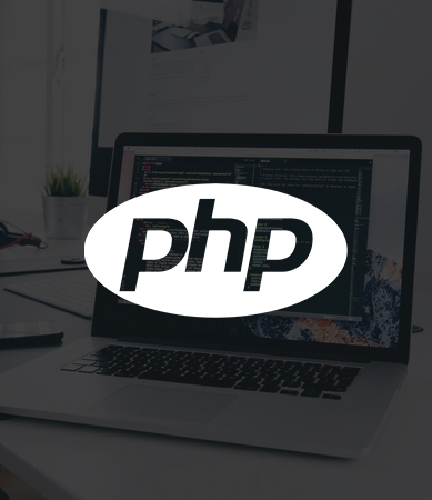 Custom PHP Programming Company India
